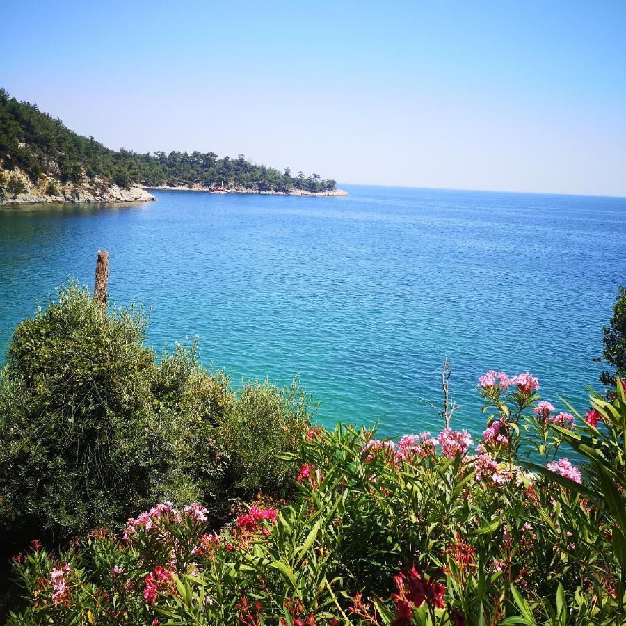 Bel Air Villa Skala Potamia  Bagian luar foto